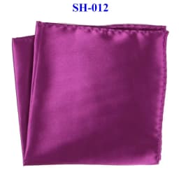 Tailor Smith 30x30cm Solid Colors Hankerchief Pocket Squares 31Colors Luxury Mens Silk Touch Soft Hankies Chest Towel