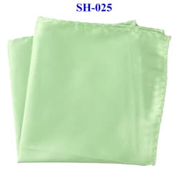 Tailor Smith 30x30cm Solid Colors Hankerchief Pocket Squares 31Colors Luxury Mens Silk Touch Soft Hankies Chest Towel