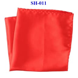 Tailor Smith 30x30cm Solid Colors Hankerchief Pocket Squares 31Colors Luxury Mens Silk Touch Soft Hankies Chest Towel