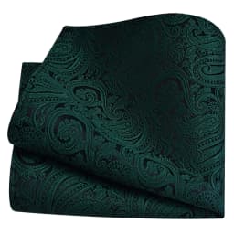 Ricnais Classic Silk Pattern Handkerchiefs 25cm*25cm Hanky Green Red Purple Orange Pocket Square For Man Wedding Business Party