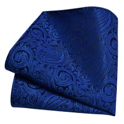 Ricnais Classic Silk Pattern Handkerchiefs 25cm*25cm Hanky Green Red Purple Orange Pocket Square For Man Wedding Business Party