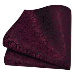 Ricnais Classic Silk Pattern Handkerchiefs 25cm*25cm Hanky Green Red Purple Orange Pocket Square For Man Wedding Business Party
