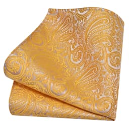 Ricnais Classic Silk Pattern Handkerchiefs 25cm*25cm Hanky Green Red Purple Orange Pocket Square For Man Wedding Business Party