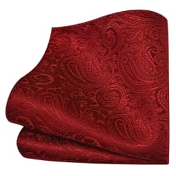 Ricnais Classic Silk Pattern Handkerchiefs 25cm*25cm Hanky Green Red Purple Orange Pocket Square For Man Wedding Business Party