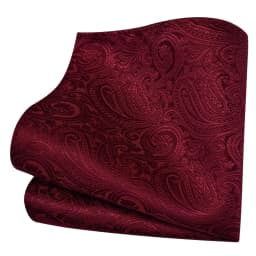 Ricnais Classic Silk Pattern Handkerchiefs 25cm*25cm Hanky Green Red Purple Orange Pocket Square For Man Wedding Business Party