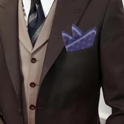  Tailor Smith 11.81x11.81 inch Pocket Squares Paisley Men's Handkerchief for Suit Accessories Wedding Business Banquet Gift