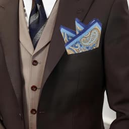  Tailor Smith 11.81x11.81 inch Pocket Squares Paisley Men's Handkerchief for Suit Accessories Wedding Business Banquet Gift