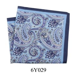  Tailor Smith 11.81x11.81 inch Pocket Squares Paisley Men's Handkerchief for Suit Accessories Wedding Business Banquet Gift
