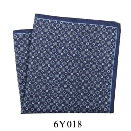  Tailor Smith 11.81x11.81 inch Pocket Squares Paisley Men's Handkerchief for Suit Accessories Wedding Business Banquet Gift