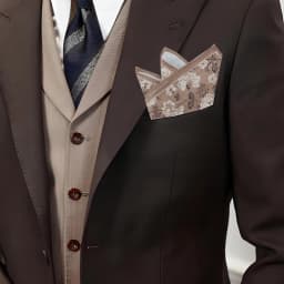  Tailor Smith 11.81x11.81 inch Pocket Squares Paisley Men's Handkerchief for Suit Accessories Wedding Business Banquet Gift