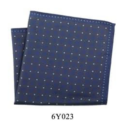  Tailor Smith 11.81x11.81 inch Pocket Squares Paisley Men's Handkerchief for Suit Accessories Wedding Business Banquet Gift