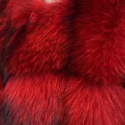 Authentic Raccoon Real Fur Short Coat Shawl Fashion 2026 New Model Elegant Warmth for Women's Outerwear