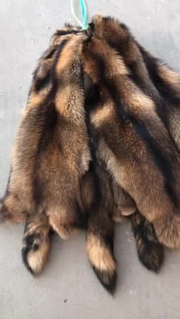 Factory Price High Quality Natural Raccoon Fur Skin Wholesale