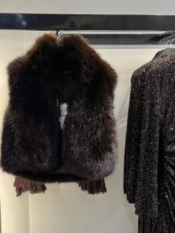 Autumn Winter New Arrival Women's Elegant Versatile Sleeveless Artificial Fur Vest 1255727 Casual Style Short Coat for Ladies