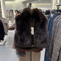 Autumn Winter New Arrival Women's Elegant Versatile Sleeveless Artificial Fur Vest 1255727 Casual Style Short Coat for Ladies