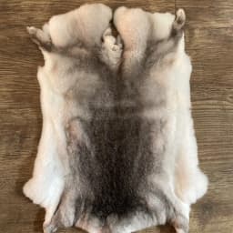 Hot Sale Natural Factory Direct Sale Genuine Chinchilla Skin Rex Rabbit Fur