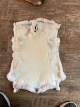 Hot Sale Natural Factory Direct Sale Genuine Chinchilla Skin Rex Rabbit Fur
