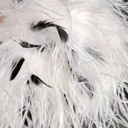 Length 22cm 100% Natural Ostrich Hair Bra Underwear Women's Fur Coat Real Ostrich Fur Coat Fur Mini Skirt Customization