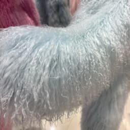 YOLOAgain Real Mongolia Sheep Fur Jacket Women Winter Burgundy Fur Coat