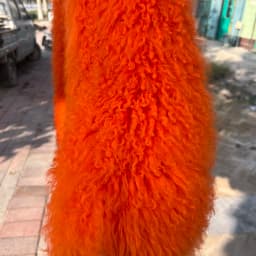 New Style Genuine 100% Mongolian Sheepskin Real Fur Large Collar Brow Jacket Women Winter Coat High-Quality Sheepskin OverCoat