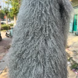 New Style Genuine 100% Mongolian Sheepskin Real Fur Large Collar Brow Jacket Women Winter Coat High-Quality Sheepskin OverCoat
