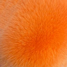 YOLOAgain Real Fox Fur Headband Women Lady Warm Soft Good Elastic Genuine Fox Fur Ring Scarves