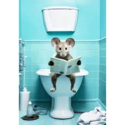 CHENISTORY Paint By Number Animal toilet Landscape Kits Handpainted Picture By Number Drawing On Canvas Home Decoration