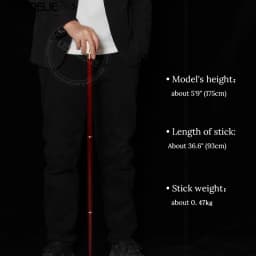Horse-Head Stick Series Man Alloy And Resin Horse Head With Iron And Red Wooden Walking Cane For Woman Fashionable Canes