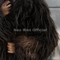 Neo Mint Winter 2025 Tassels Faux Fur Coat for Women Stylish Chic Fluffy Fur Jacket Furry Fox Fur Overcoat Girl Shaggy Outerwear