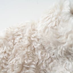 faux fur coat women