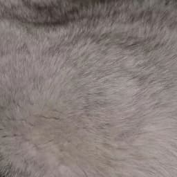 Short Coat Women Faux Fur Fox Coats Jackets Turn Down Collar Coat Thick Y2k Streetwear Jacket Work Outerwear Autumn Winter 2026