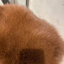Short Coat Women Faux Fur Fox Coats Jackets Turn Down Collar Coat Thick Y2k Streetwear Jacket Work Outerwear Autumn Winter 2026