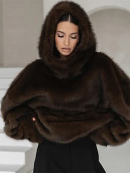 2026 Spring New Faux Fur Long Sleeve Hooded Sweatshirt For Women Elegant Oversize Hoodie Pullover Lady Street Hip-hop Chic Tops