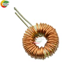 10pcs 100UH Winding Inductance 6A Toroidal Core Inductance Magnetic Induction Coil Toroidal Inductance Winding Inductance