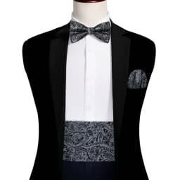 Barry.Wang Champagne Cummerbund Men Silk Floral Jacquard Bowtie Pocket Square Cufflinks Sets Wedding Party Gifts Designer 1037