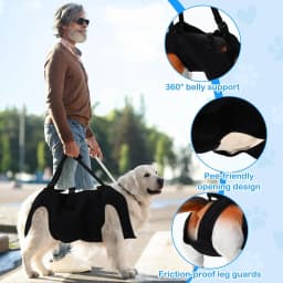 Dog Stair Assistance Leash, Elderly Dog Support Sling, Adjustable Pet Lift Vest, Large Dog Stair Climbing Aid Harness