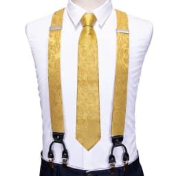 Barry.Wang Luxury Silk Mens Suspender Hanky Cufflinks Tie Set Adjustable Clip On Braces Self Necktie Male Wedding Business Gift
