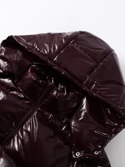 Women Solid Hooded Glossy Padded Jacket Long Sleeve Stand Zipper Fluffy Warm Coat Autumn Winter 2025 Chic Casual Street Jackets
