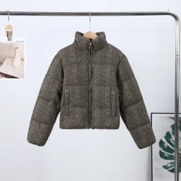 2025 Chic Puffy Padded Coat Women Casual Thicken Stand Collar Down Cotton Coats Female Winter Classic Versatile Street Outerwear