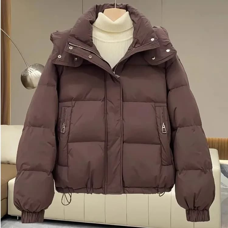 Women's Loose Fit Cotton Jacket 2025 Winter Warm Short Korean Style Color Versatile Elegance Hooded Cotton Coat
