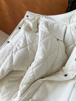 [LANMREM] Office Lady Cotton Padded Coat For Women Stand Neck Single Breasted Minimalism Warm Jackets 2024 Winter New 26C1339
