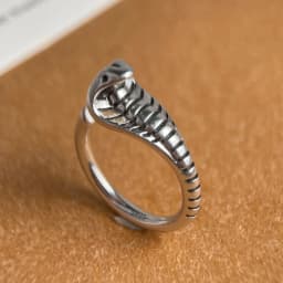 925 Sterling Silver Rings for Women Couple Minimalist Handmade Simple Vintage Snake Ring Fine Jewelry Gift Prevent Allergy