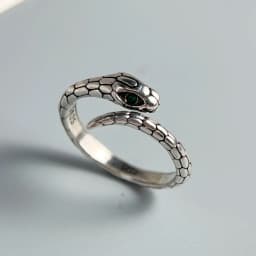 925 Sterling Silver Rings for Women Couple Minimalist Handmade Simple Vintage Snake Ring Fine Jewelry Gift Prevent Allergy
