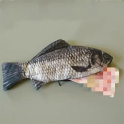 Simulated Crucian Pencil Bag Personality Creative Salt Fish Shaped Pen Pencil Case Funny Handbag for Students Teenages Girls