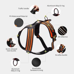 Truelove Non-reflective Walking PU Leather Dog Vest Escape Proof Adjustable Anti Pull Pet Harness Outdoor Clearance Sale TLH5551