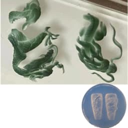 NEW Silicone Nail Art Handcrafts Moulds DIY Nail Tools Dragon/Snake Nail Carving Molds Silicone Material for Nail Decoration