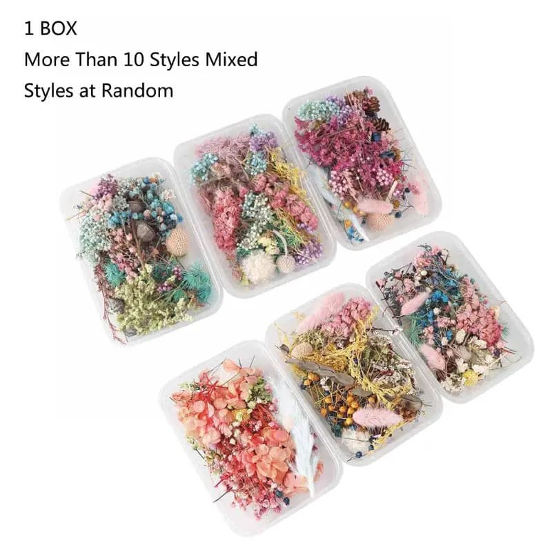 Real Pressed Flower Leaf Dried Daisy Flower Resin Flower Dry Beauty Nail Art Decals Epoxy Mold Fillings Jewelry Making