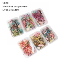 Real Pressed Flower Leaf Dried Daisy Flower Resin Flower Dry Beauty Nail Art Decals Epoxy Mold Fillings Jewelry Making