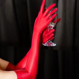 Women Sexy Smooth Oil Glossy Long Gloves Thin Sheer Seamless Mittens High Stretch Tight Stocking Gloves Underwear Accessories