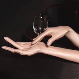 51CM Women Tight Thin Sexy Temptation Oily Lace Long Gloves Elasticity Breathable Transparent Stage Performance Opera Cosplay